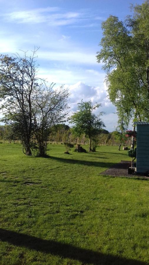 Hopgarden Glamping - Luxury 6M Bell Tent Wadhurst Esterno foto