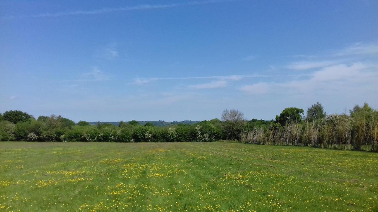 Hopgarden Glamping - Luxury 6M Bell Tent Wadhurst Esterno foto