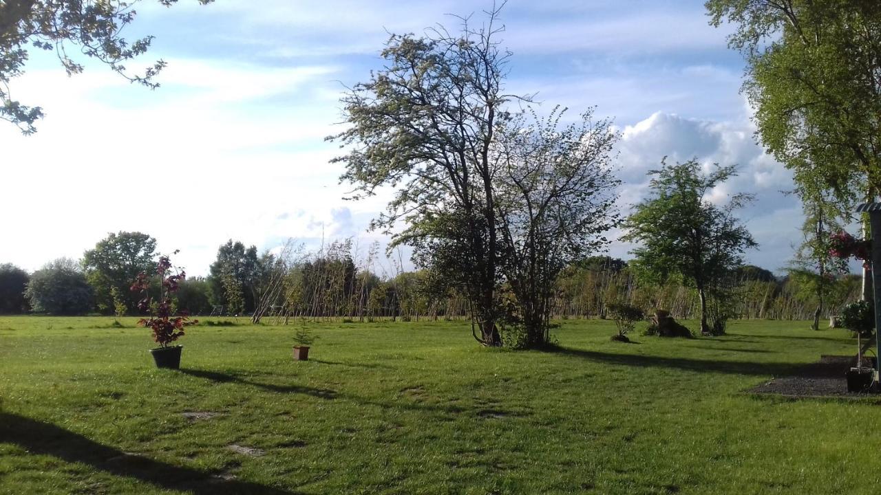 Hopgarden Glamping - Luxury 6M Bell Tent Wadhurst Esterno foto