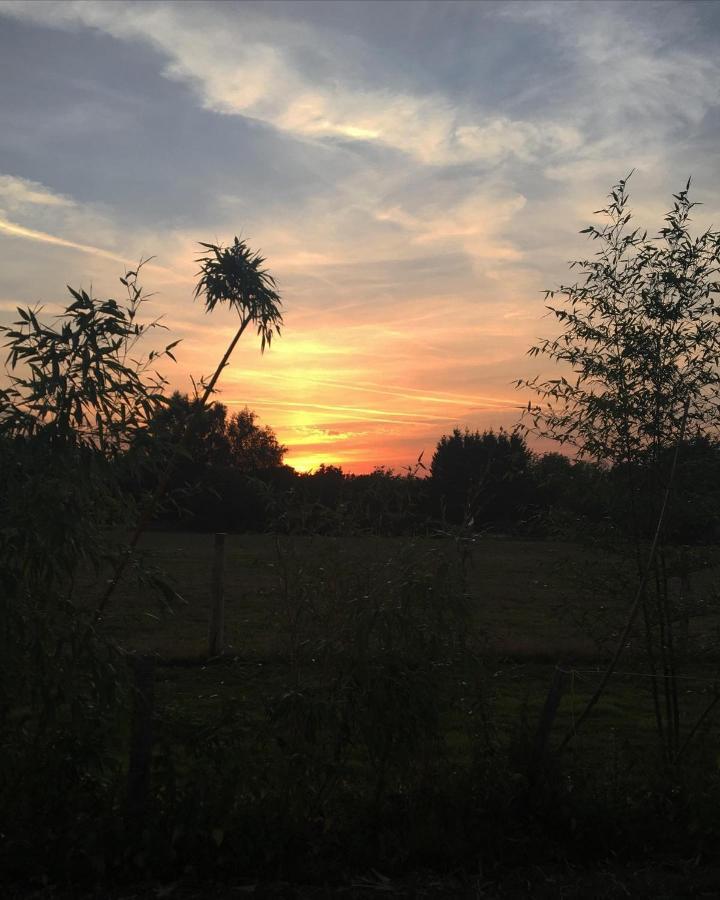 Hopgarden Glamping - Luxury 6M Bell Tent Wadhurst Esterno foto