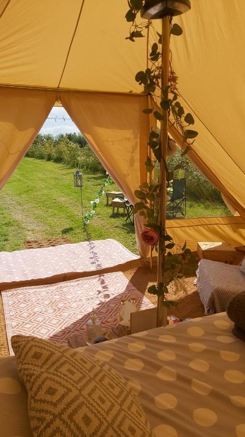 Hopgarden Glamping - Luxury 6M Bell Tent Wadhurst Esterno foto