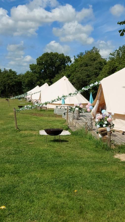 Hopgarden Glamping - Luxury 6M Bell Tent Wadhurst Esterno foto